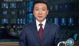 康辉最新爆料新闻,揭秘娱乐圈惊人内幕！